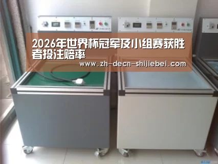世界杯投注案例展示二