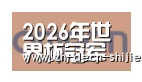 世界杯投注合作伙伴五