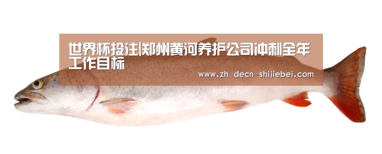 世界杯投注|郑州黄河养护公司冲刺全年工作目标(图2) 世界杯投注