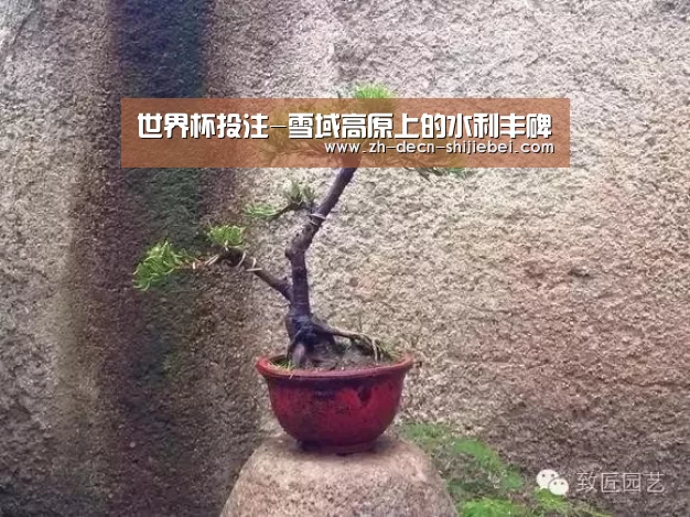世界杯投注