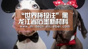 “世界杯投注”黑龙江省石墨新材料产业招商推介会举行(图1) 世界杯投注