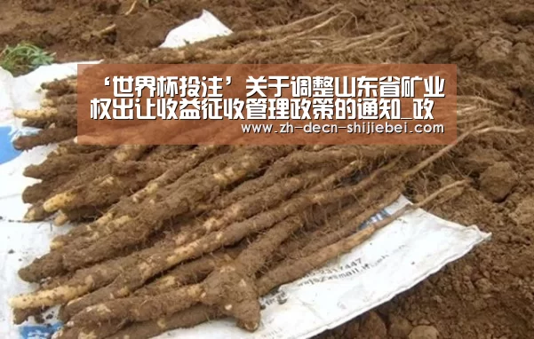 ‘世界杯投注’关于调整山东省矿业权出让收益征收管理政策的通知_政策法规_新闻_矿道网(图4) 世界杯投注