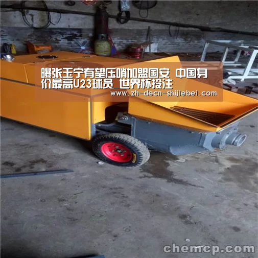 曝张玉宁有望压哨加盟国安 中国身价最高U23球员_世界杯投注(图3) 世界杯投注